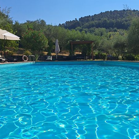 Willa Agriturismo Poggio All'Olmo Greve in Chianti Zewnętrze zdjęcie