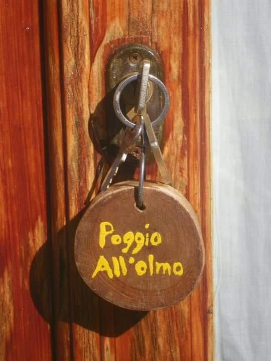 Willa Agriturismo Poggio All'Olmo Greve in Chianti Zewnętrze zdjęcie
