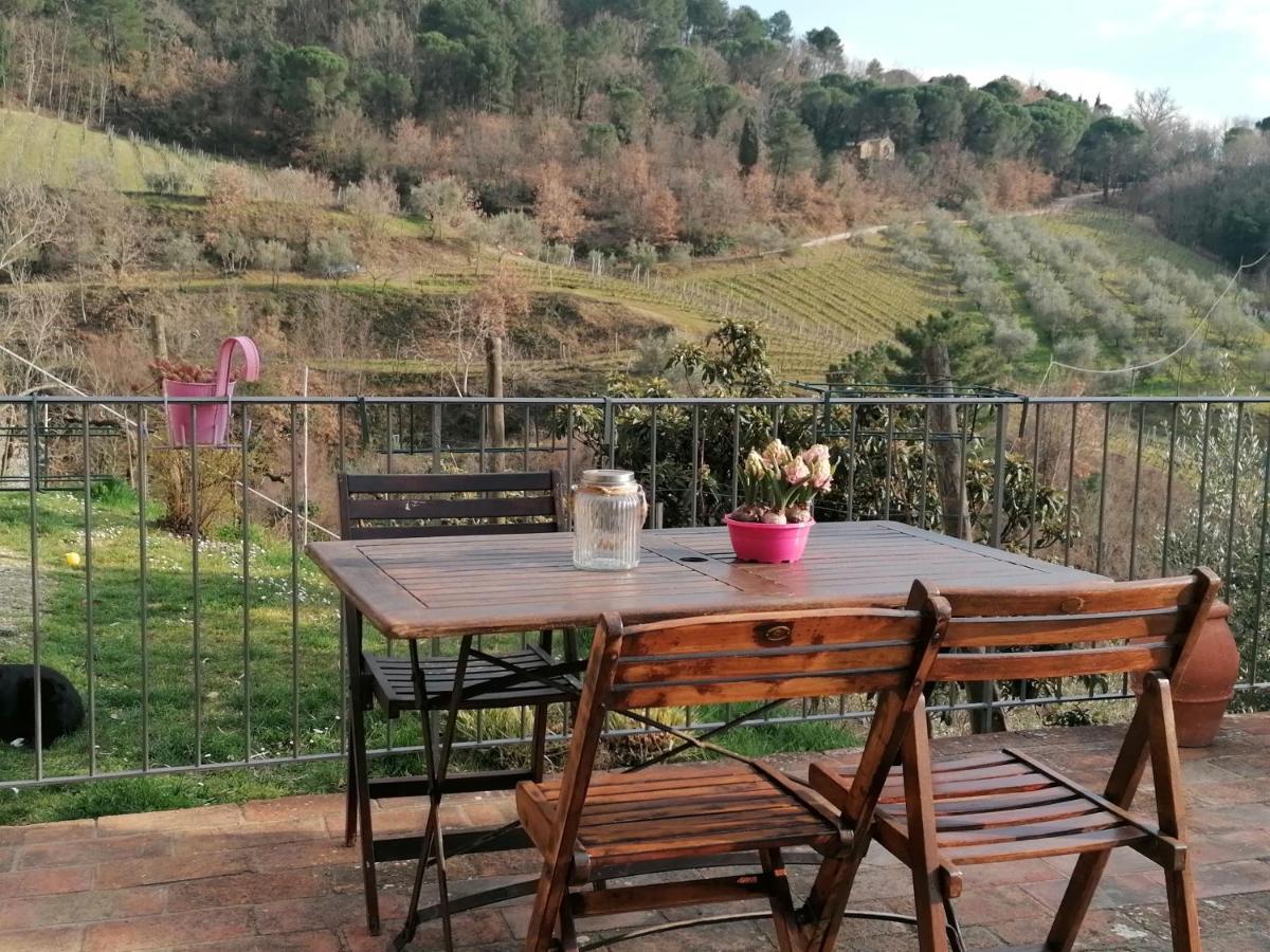 Willa Agriturismo Poggio All'Olmo Greve in Chianti Zewnętrze zdjęcie