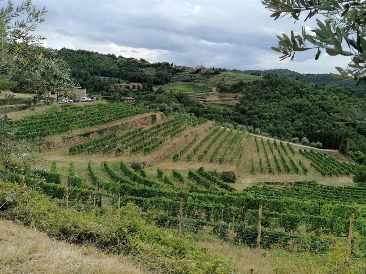 Willa Agriturismo Poggio All'Olmo Greve in Chianti Zewnętrze zdjęcie
