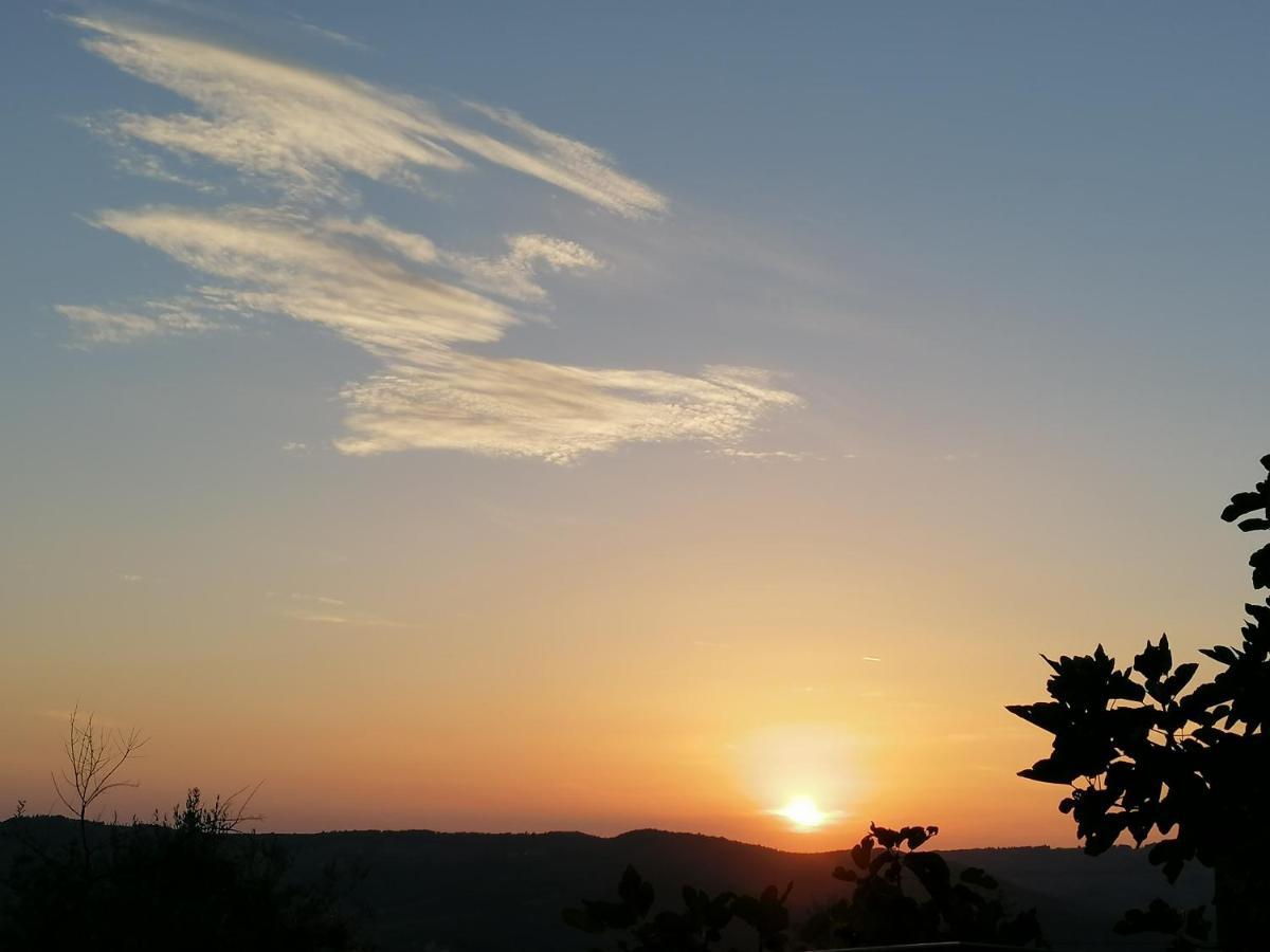 Willa Agriturismo Poggio All'Olmo Greve in Chianti Zewnętrze zdjęcie