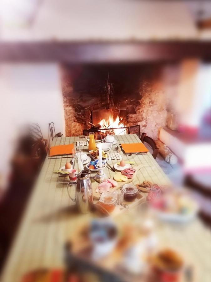 Willa Agriturismo Poggio All'Olmo Greve in Chianti Zewnętrze zdjęcie