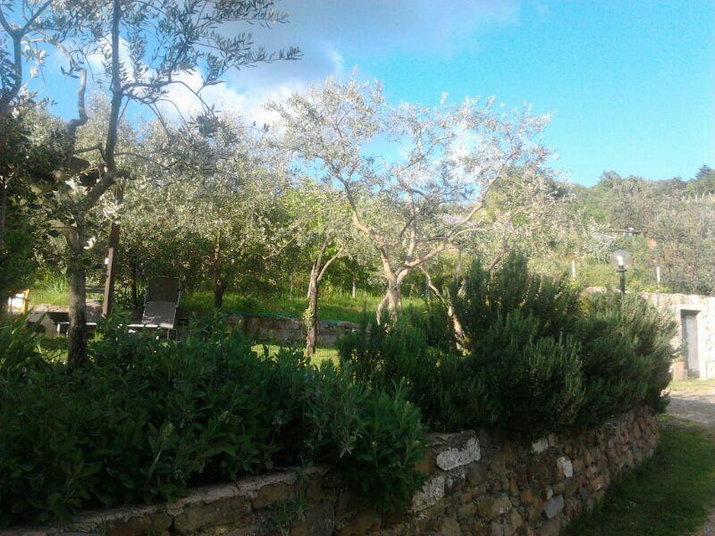 Willa Agriturismo Poggio All'Olmo Greve in Chianti Zewnętrze zdjęcie