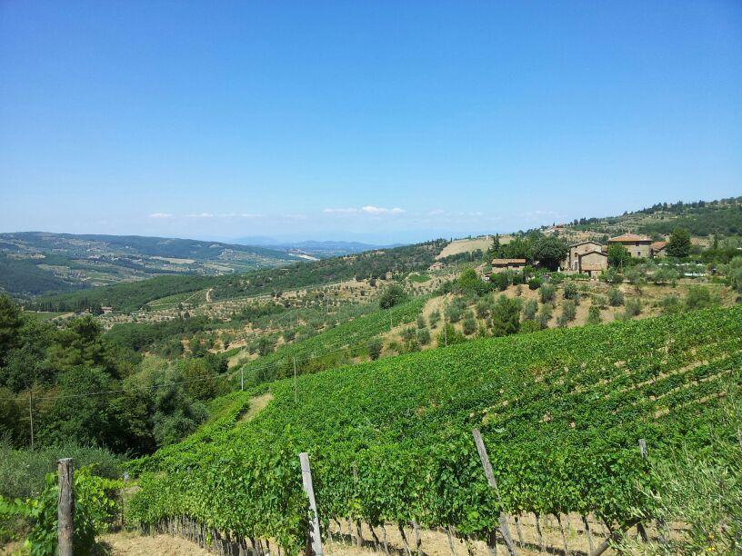 Willa Agriturismo Poggio All'Olmo Greve in Chianti Zewnętrze zdjęcie