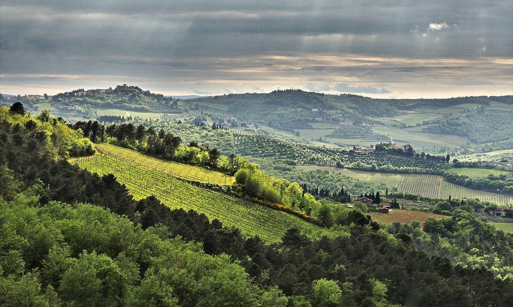 Willa Agriturismo Poggio All'Olmo Greve in Chianti Zewnętrze zdjęcie