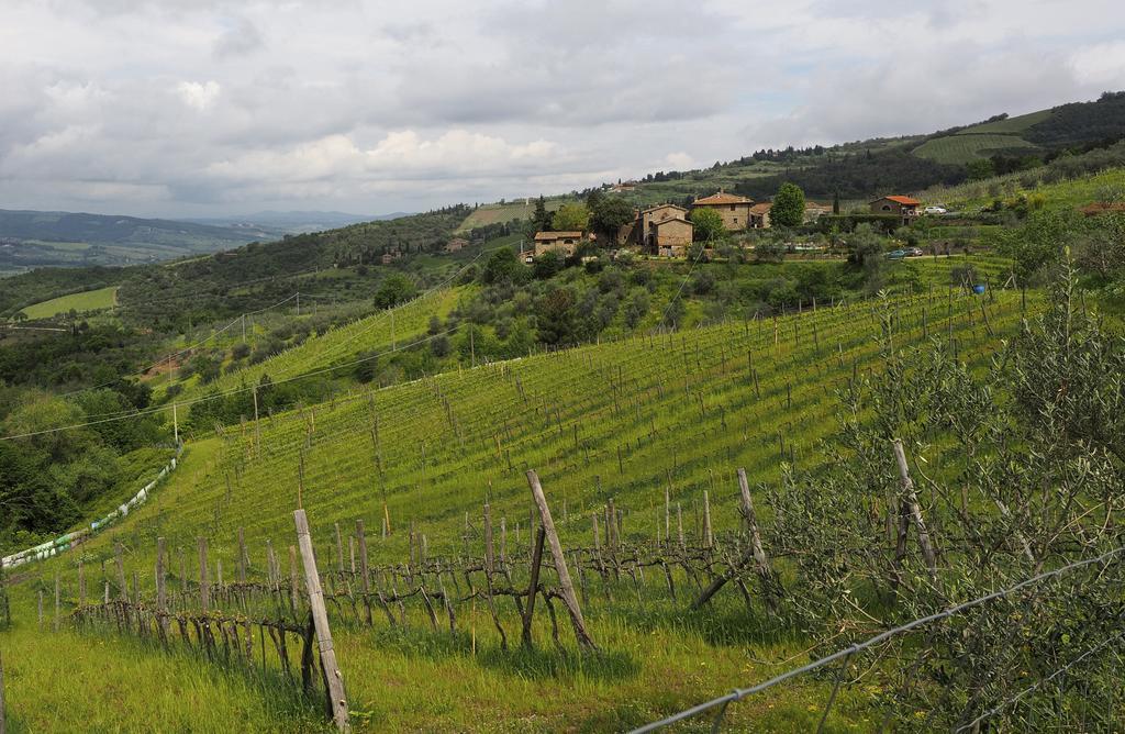 Willa Agriturismo Poggio All'Olmo Greve in Chianti Zewnętrze zdjęcie