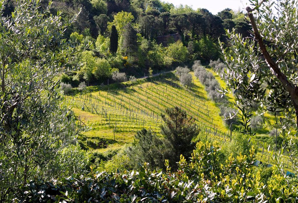 Willa Agriturismo Poggio All'Olmo Greve in Chianti Zewnętrze zdjęcie