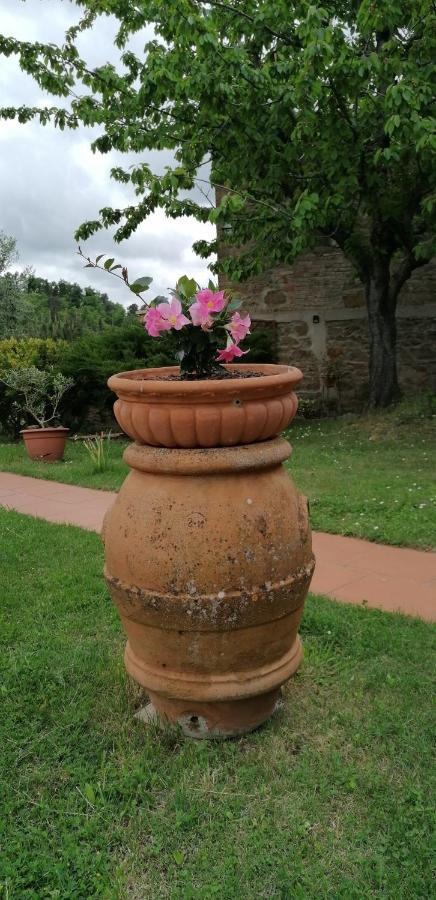 Willa Agriturismo Poggio All'Olmo Greve in Chianti Zewnętrze zdjęcie
