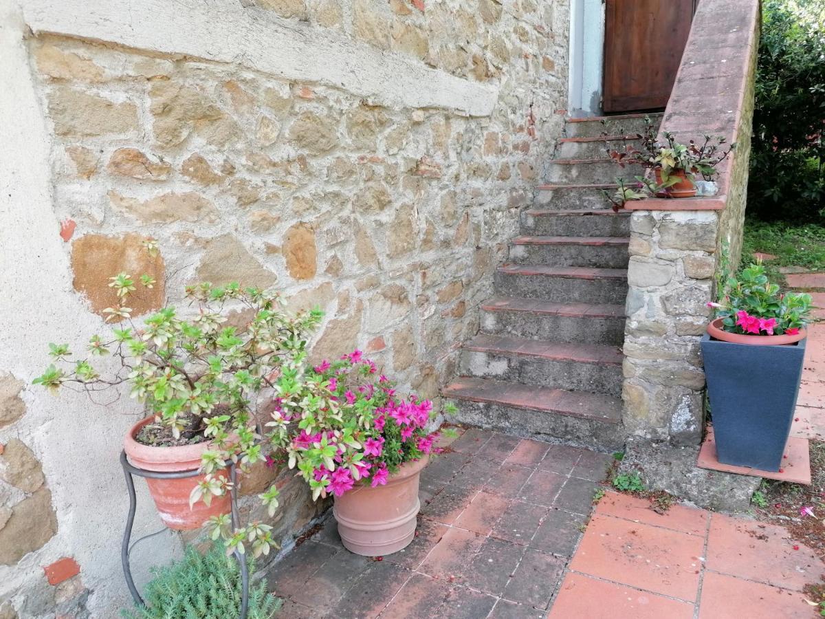 Willa Agriturismo Poggio All'Olmo Greve in Chianti Zewnętrze zdjęcie